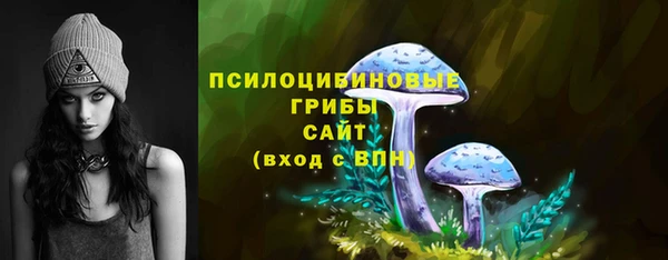 винт Арсеньев