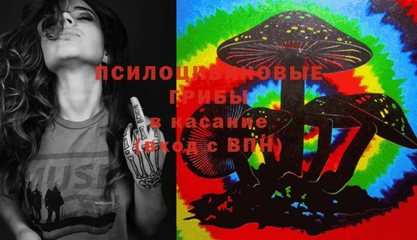 винт Арсеньев