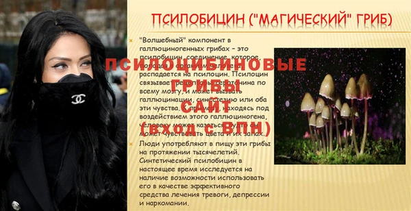 ALPHA-PVP Алексеевка